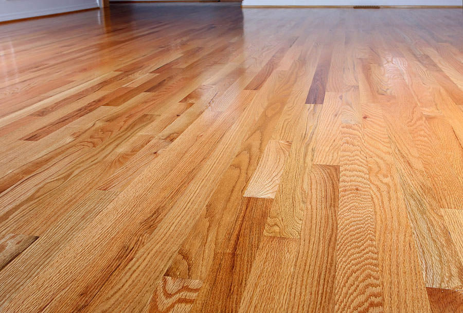 New Horizons Flooring photo