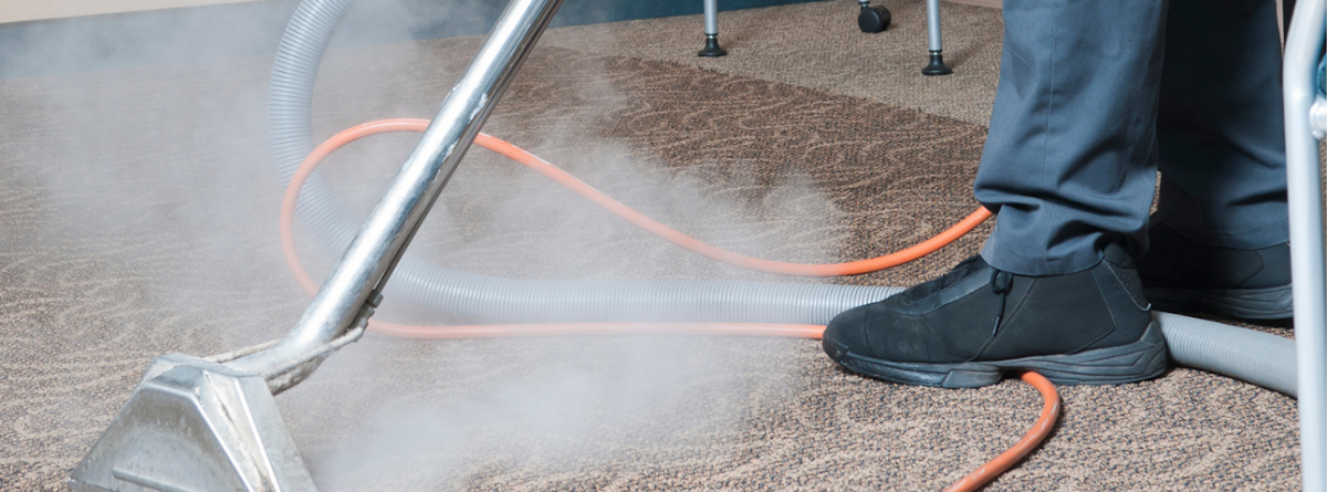 Carpet Cleaning Service Alexandria photo