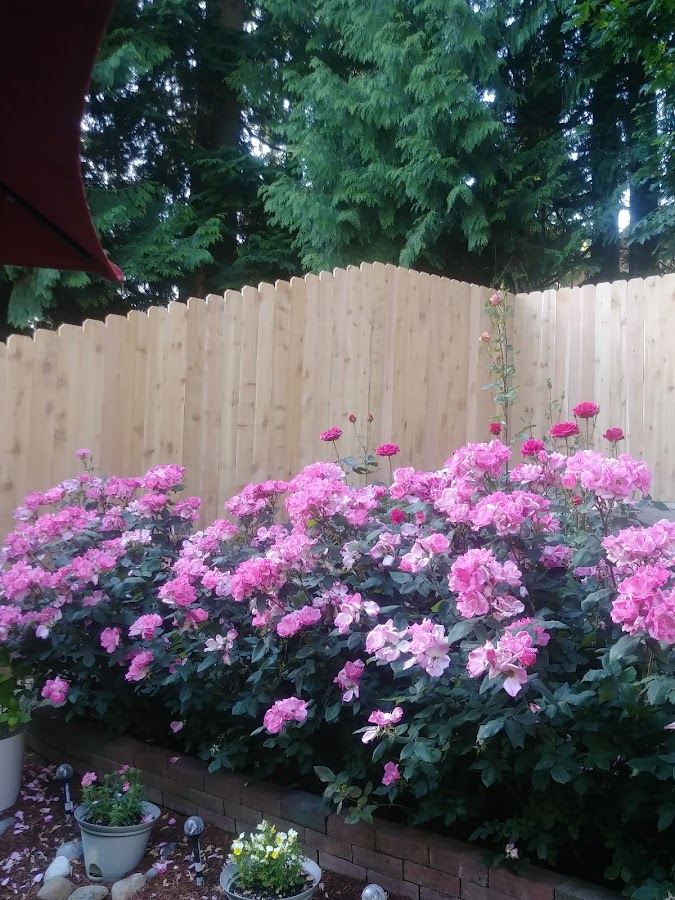 K&S fencing company photo