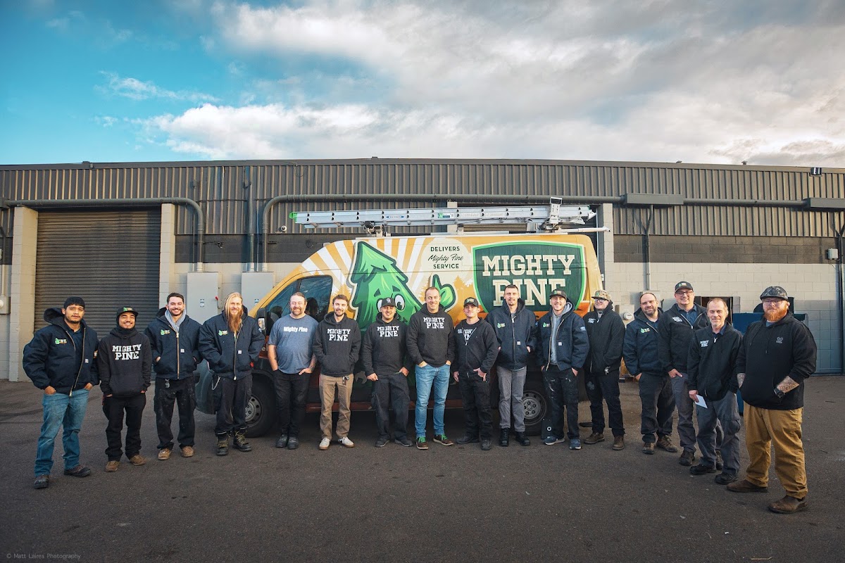 Mighty Pine Heating & Air Plumber photo