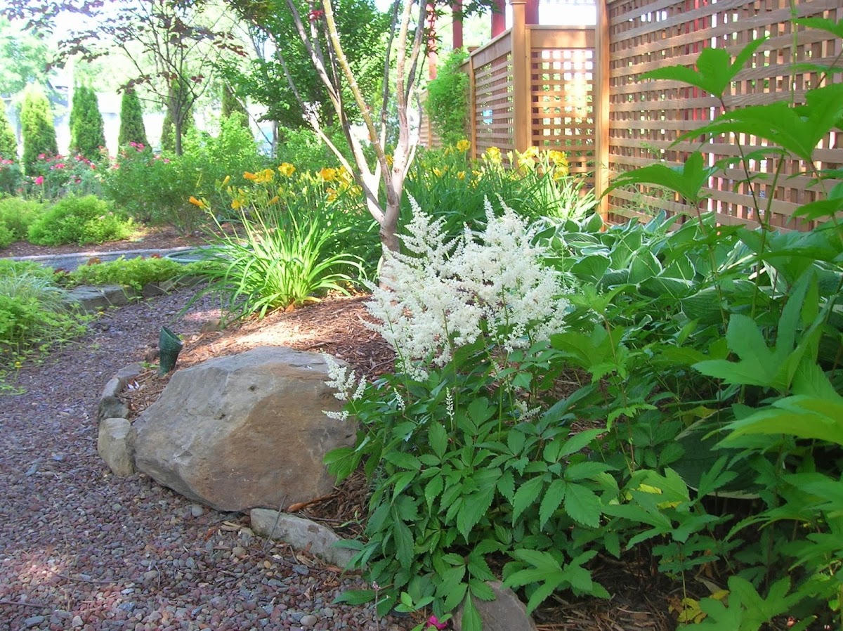 The Great Outdoors, LLC. Landscaper photo