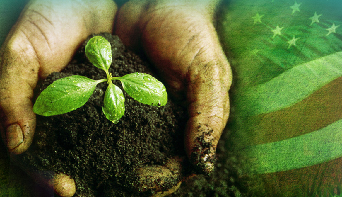 Tidewater Landscape Management Inc photo
