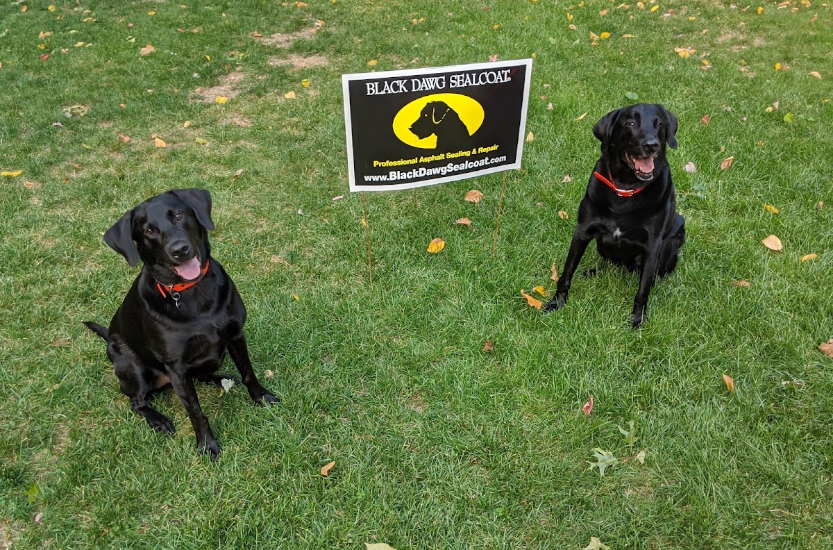 Black Dawg Sealcoat of NH and Northern MA photo