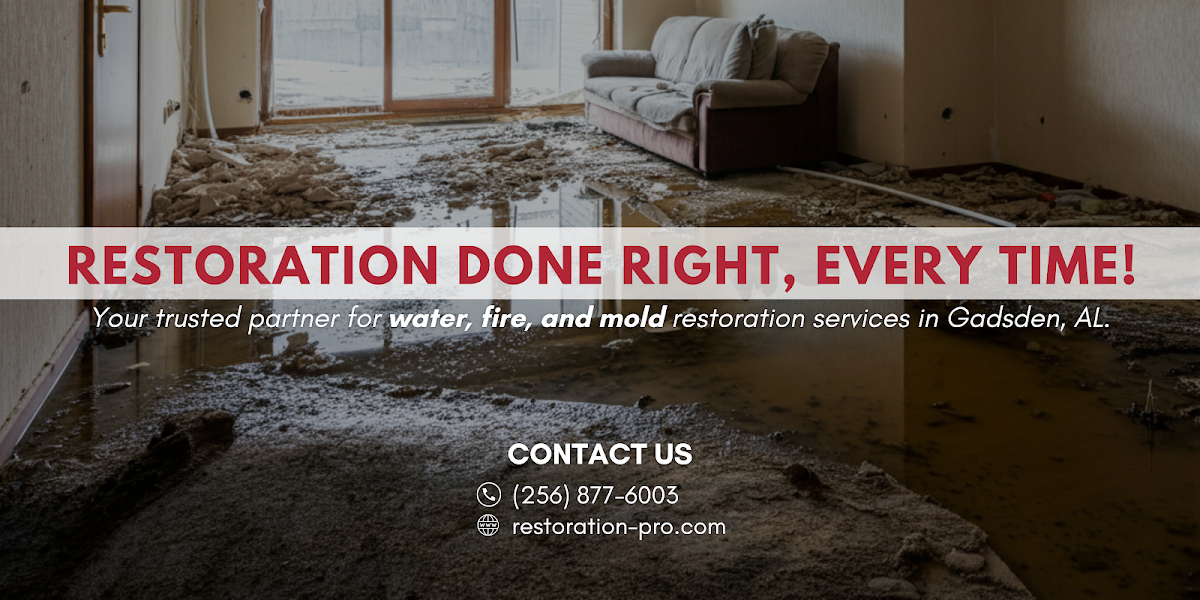 RestorationPro Plumber photo