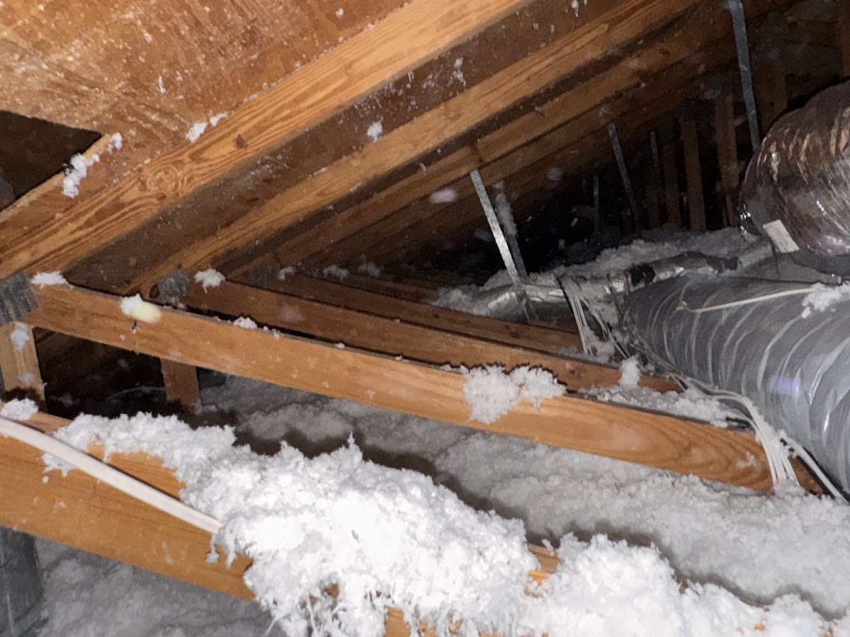 Clean Air America LLC Plumber photo