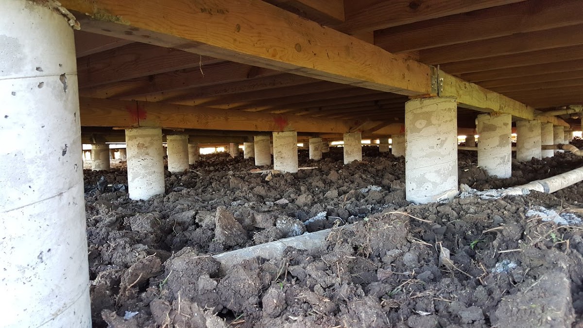 Armadillo Foundation Repair photo