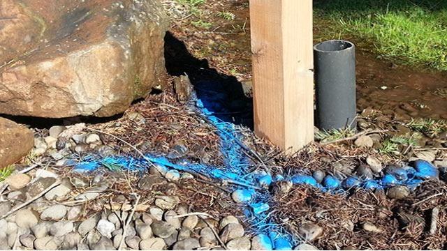 Innovative Leak Detection Plumber photo
