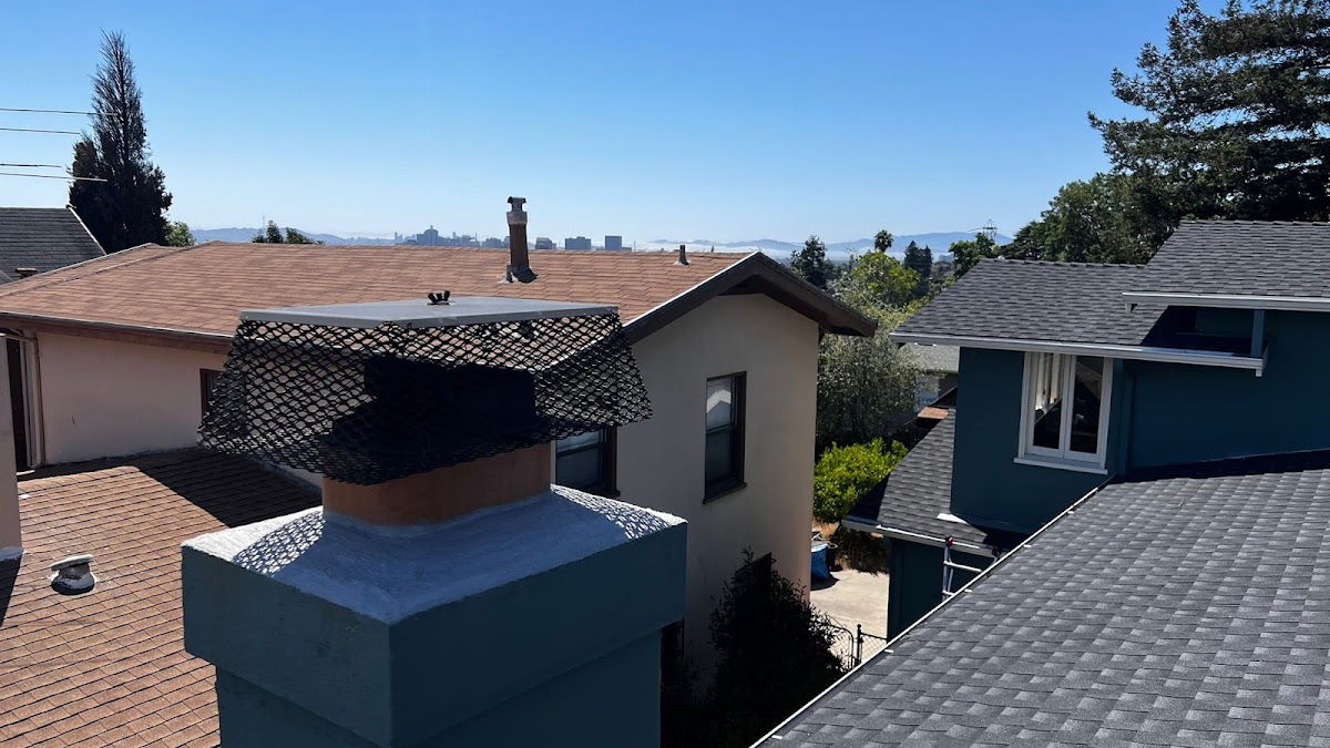 Chimney Sweep Services photo