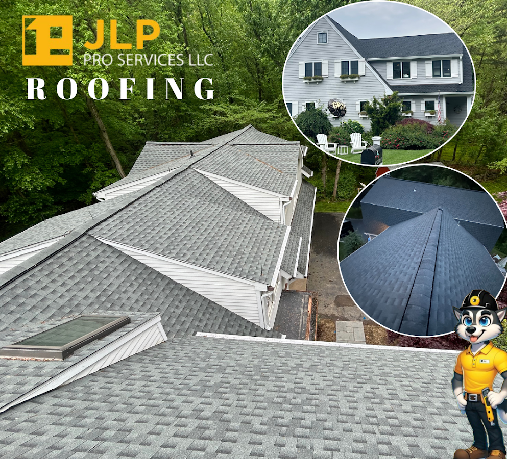 JLP Pro Services Roofing Repair photo