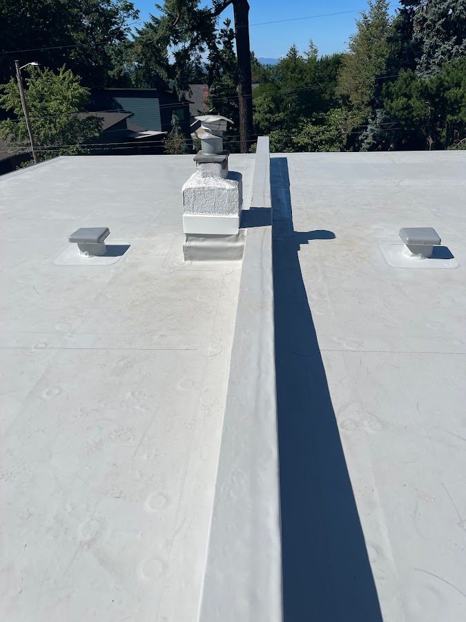 Gonzalez Eagle Roofing LLC Roofing Repair photo