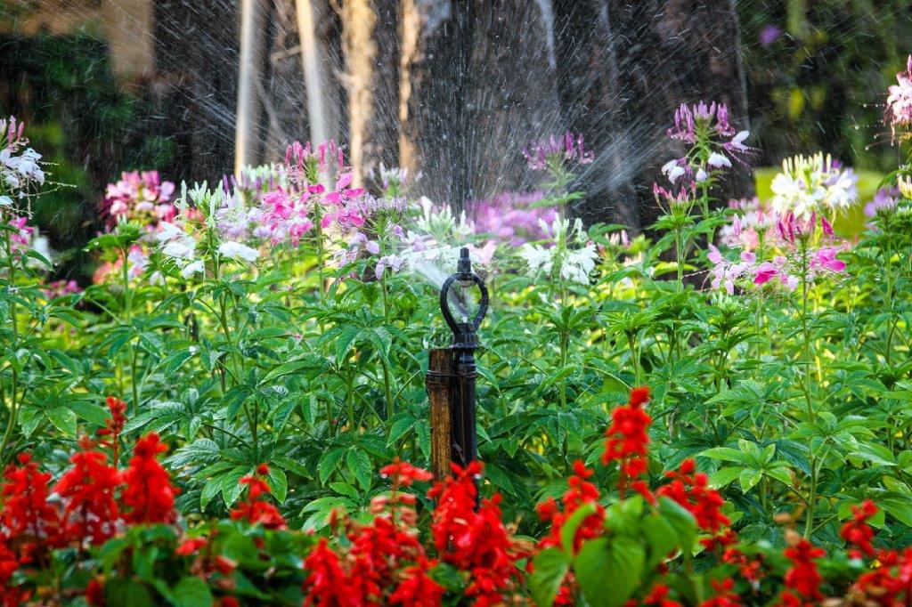Sprinkler Repair San Antonio Plumber photo