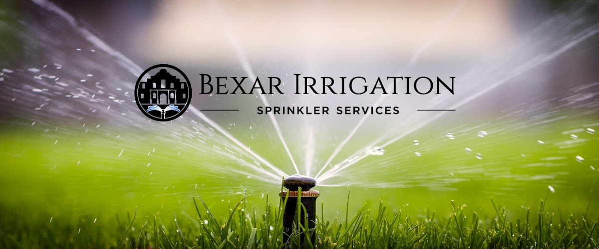 Bexar photo