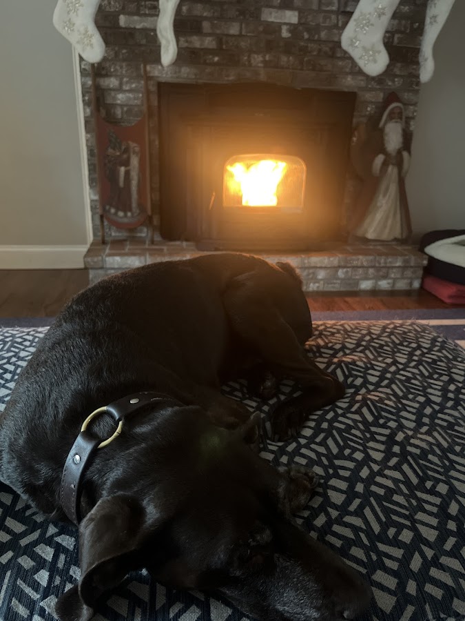 Bryan's Pellet Stove Service photo
