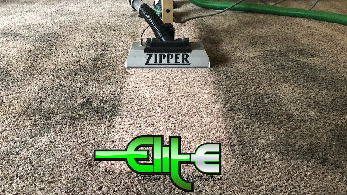 Elite Steam & Restoration Plumber photo