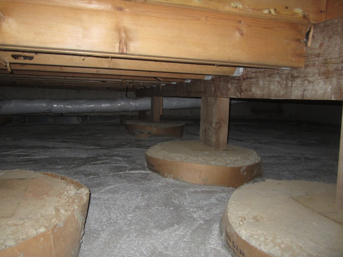 Perma Dry Waterproofing & Drainage Plumber photo