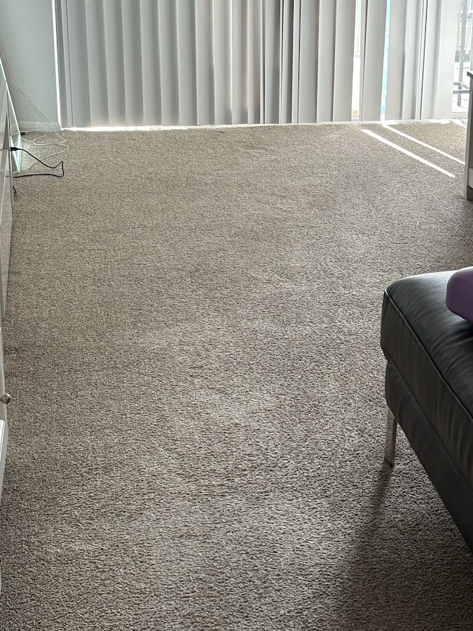 VR Green Cleaning photo