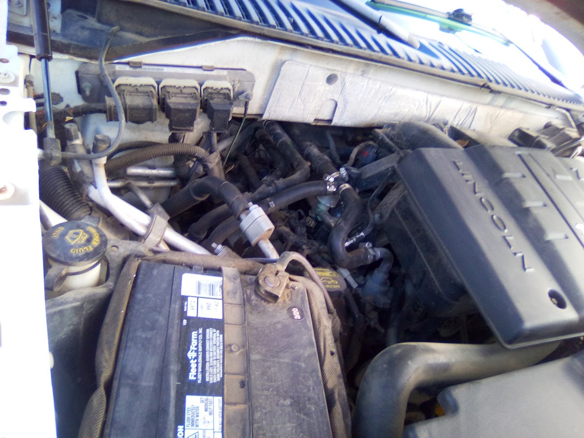 Basic Auto Repair Auto Repair photo