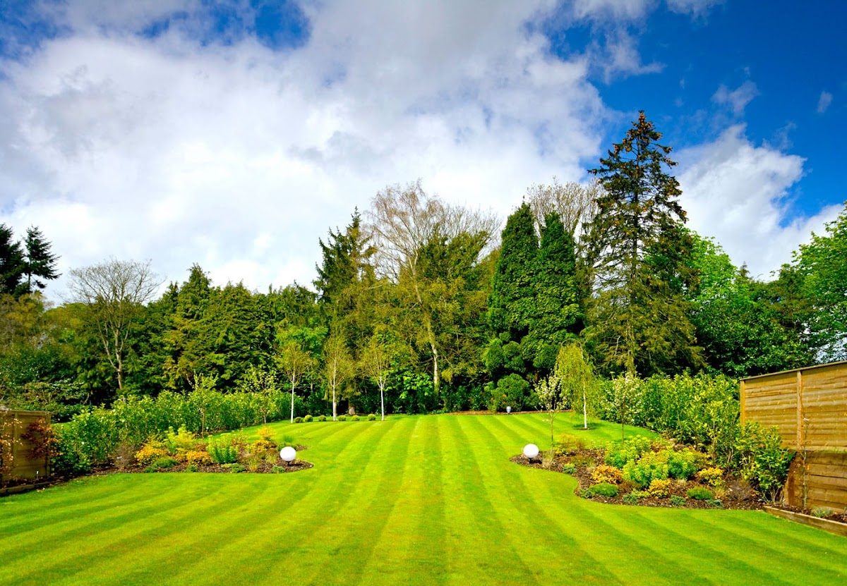 Premier Landscaping, Inc. photo