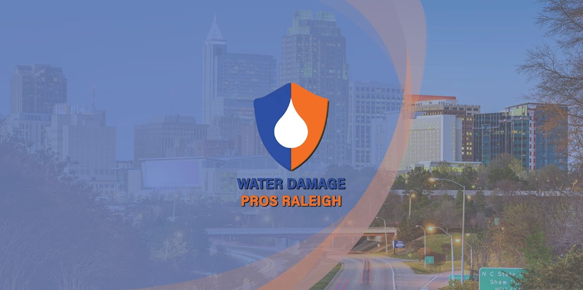 Water Damage Pros NC Plumber photo