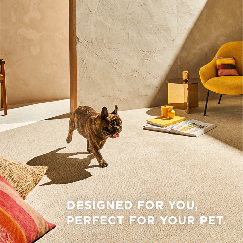 Discount Carpet Santa Fe photo