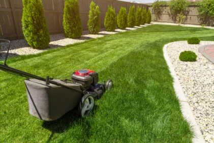 Marbel Landscaping Rochester Plumber photo