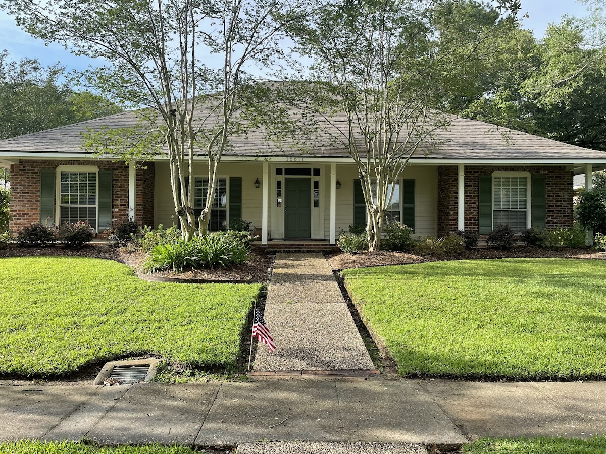 HECTOR PROFESSIONAL PAINTING LLC photo
