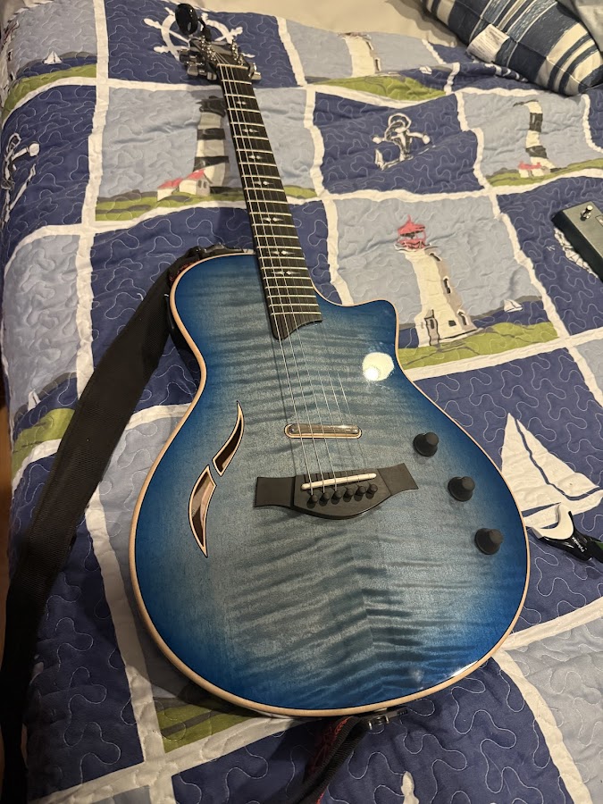 Steve Carmody Guitar Repair photo