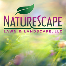 Business photo for Naturescape Lawn & Landscape, LLC in Salina, KS
