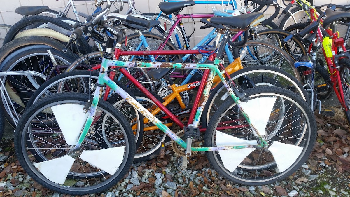 Little City Cycles photo