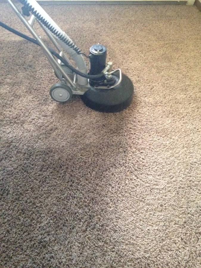 AMS Carpet Cleaning, LLC photo