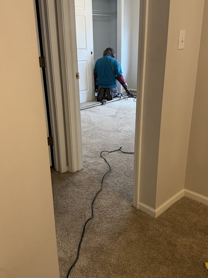 Indy All Pros Carpet Cleaning, Stretching & Repair llc photo