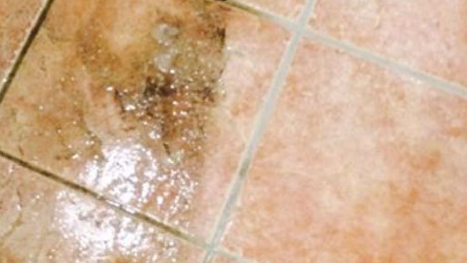 Dooley's Carpet & Rug Care photo