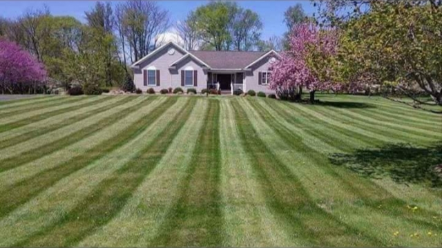 Top Priority Lawncare and Landscapes & cleaning services Lawn Care Service photo