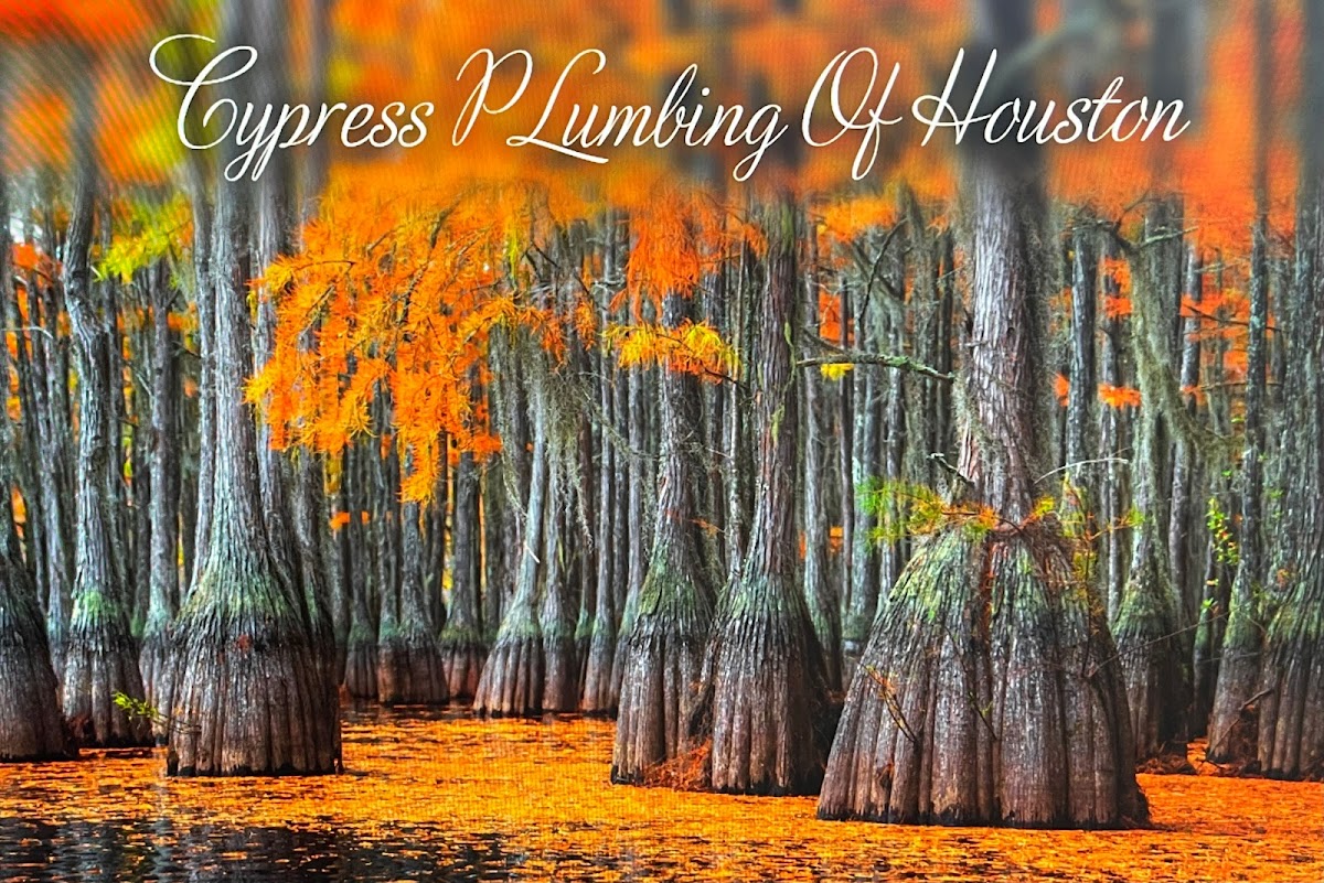 Cypress Plumbing Service Plumber photo
