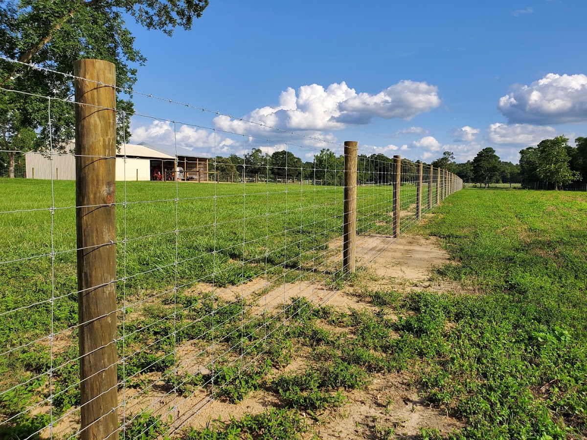 Business photo for Schneider Farm Fence in Walnut Hill, FL