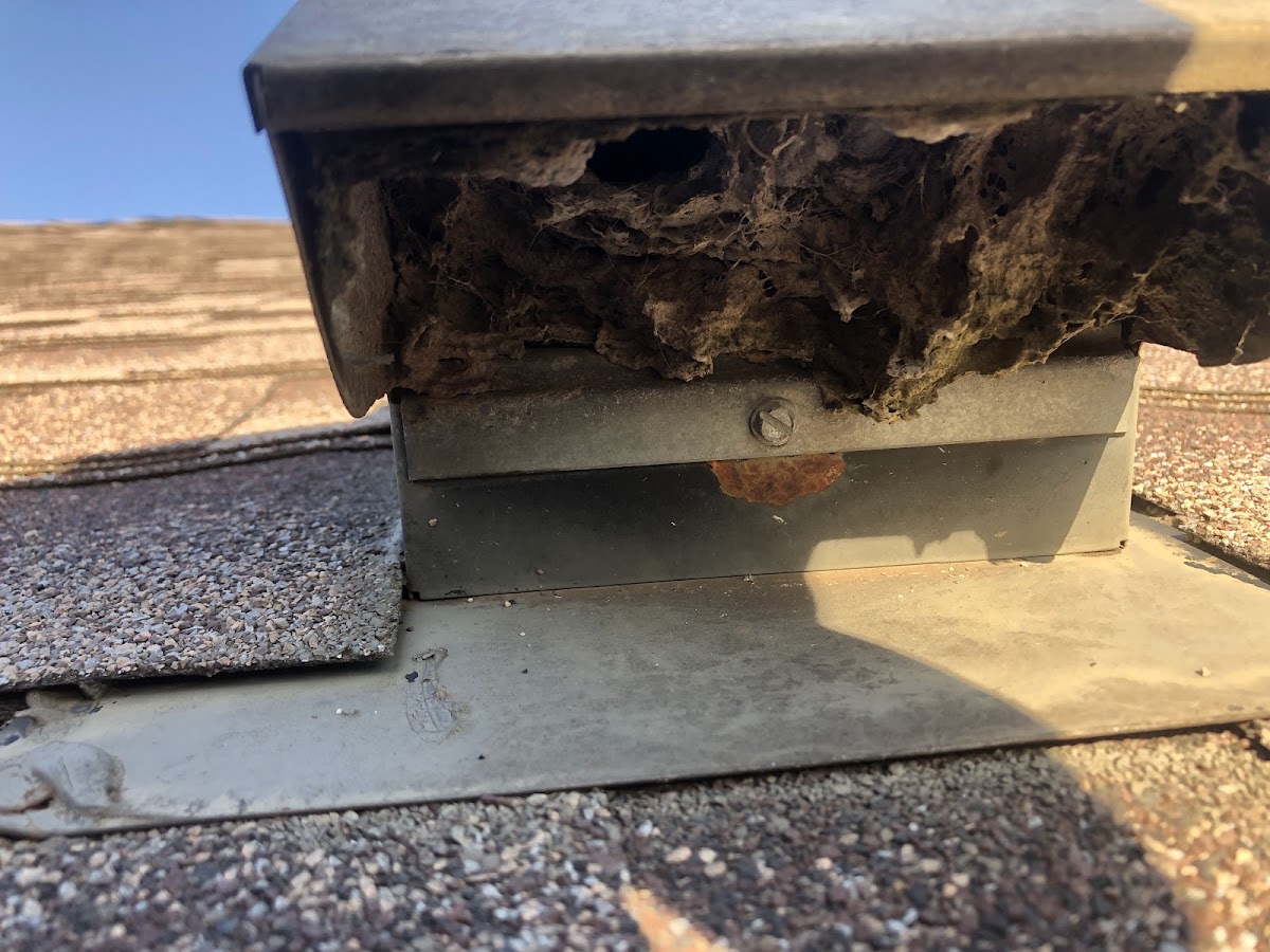All Star Dryer Vent photo