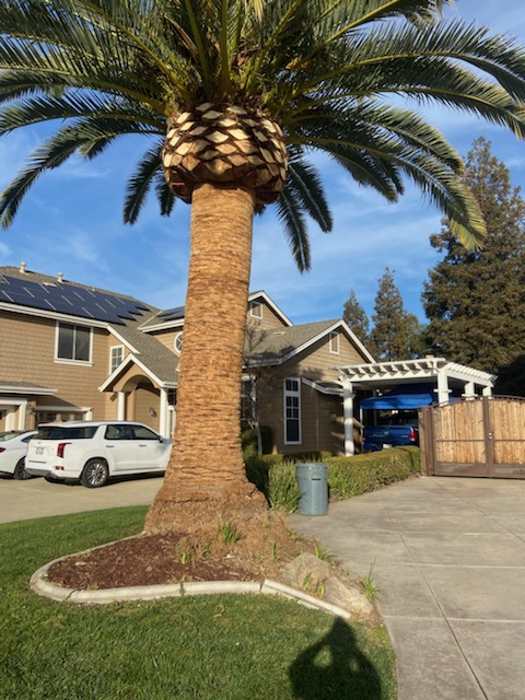 John's Good Landscaping Services Plumber photo