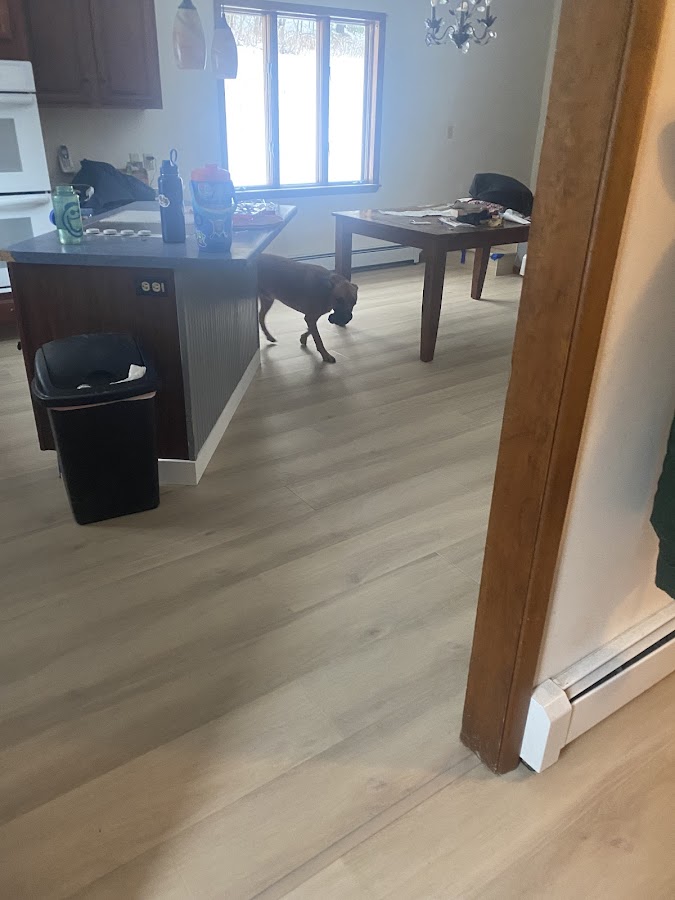 Country Floors photo