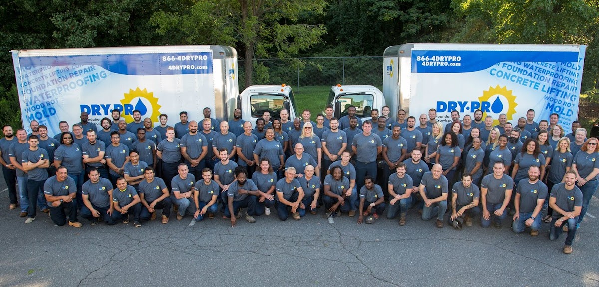 Dry Pro Foundation and Crawlspace Specialists photo