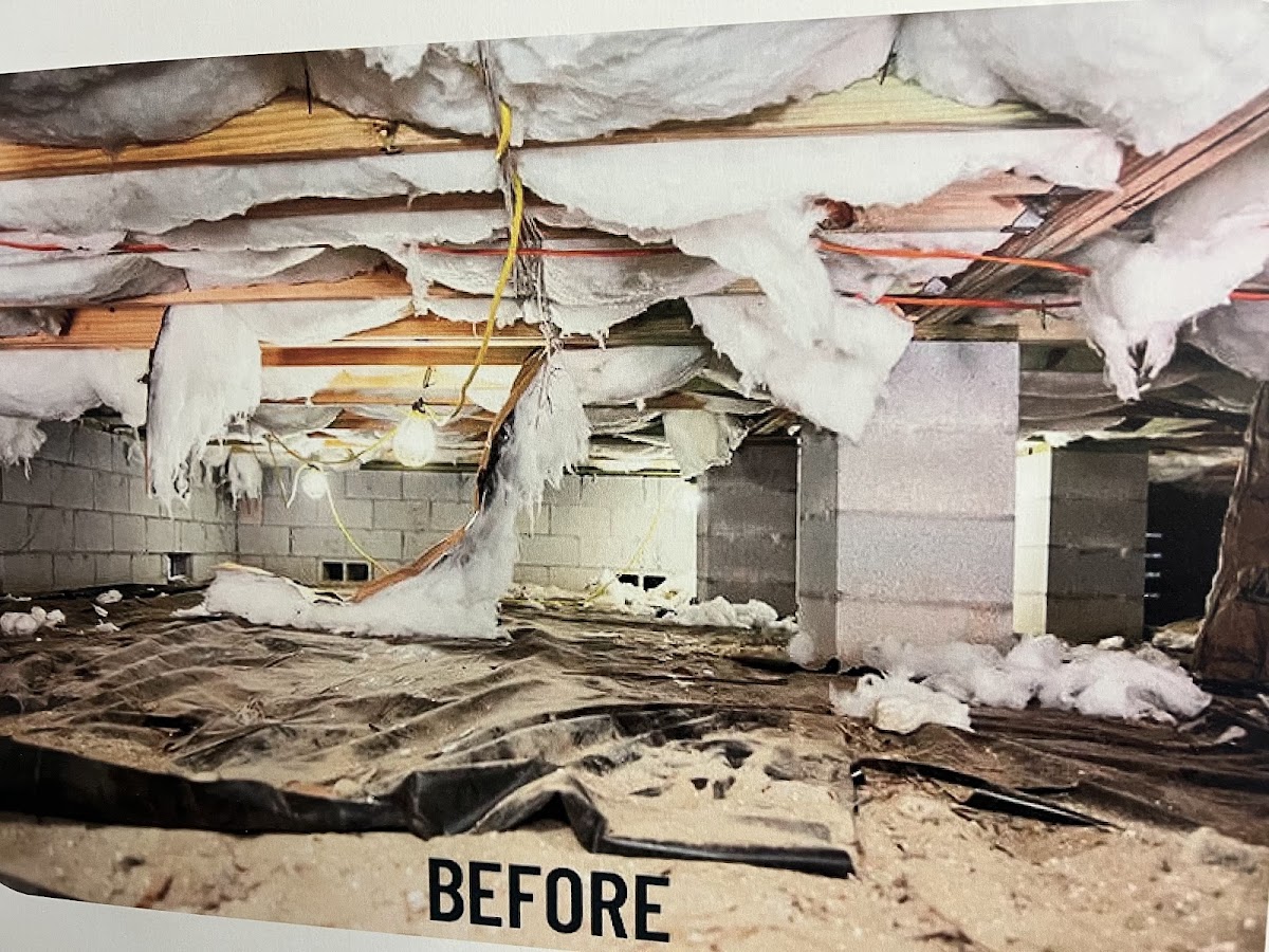 Mr. Hernandez Crawlspace crawlspace repair &waterproofing Plumber photo