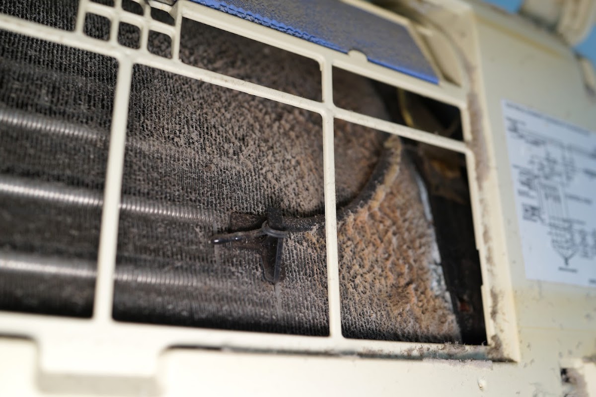 Walter Air Duct Cleaning photo