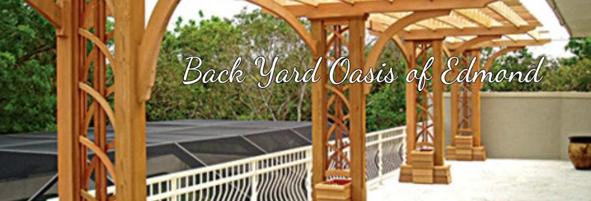 Backyard Oasis of Edmond photo