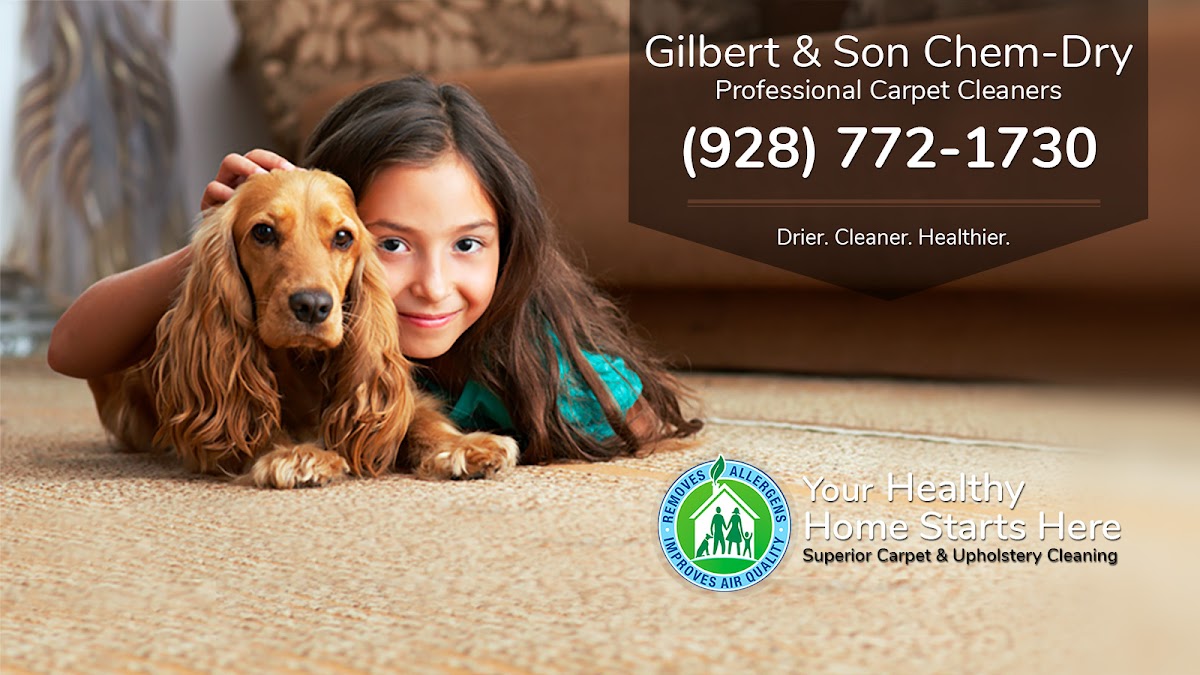 Gilbert & Son Chem-Dry photo