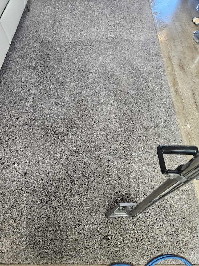 Wow thats clean carpet cleaning & janitorial arts photo