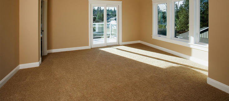 House of Carpet photo