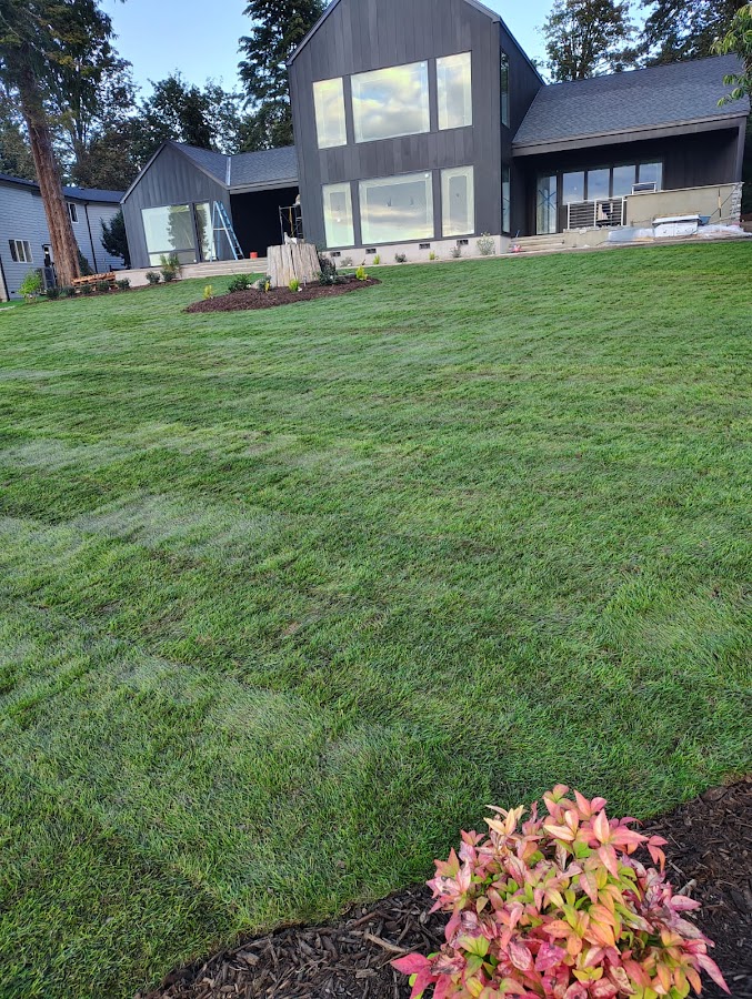 Calmo Landscaping Services Llc Roofing Repair photo