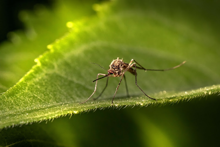 Business photo for Eco Masters Pest Control in Greensboro, North Carolina