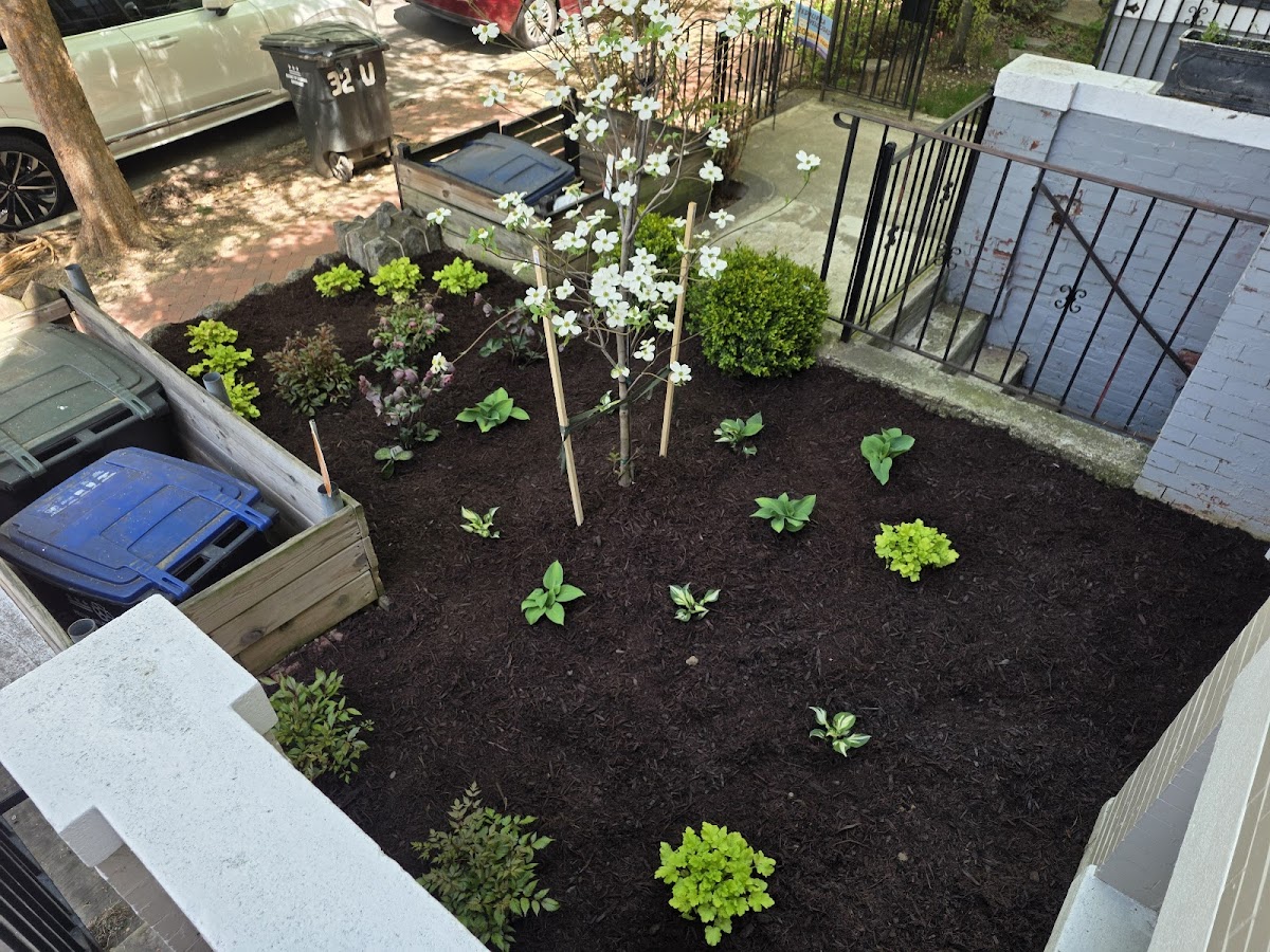 District Landscapes Landscaper photo