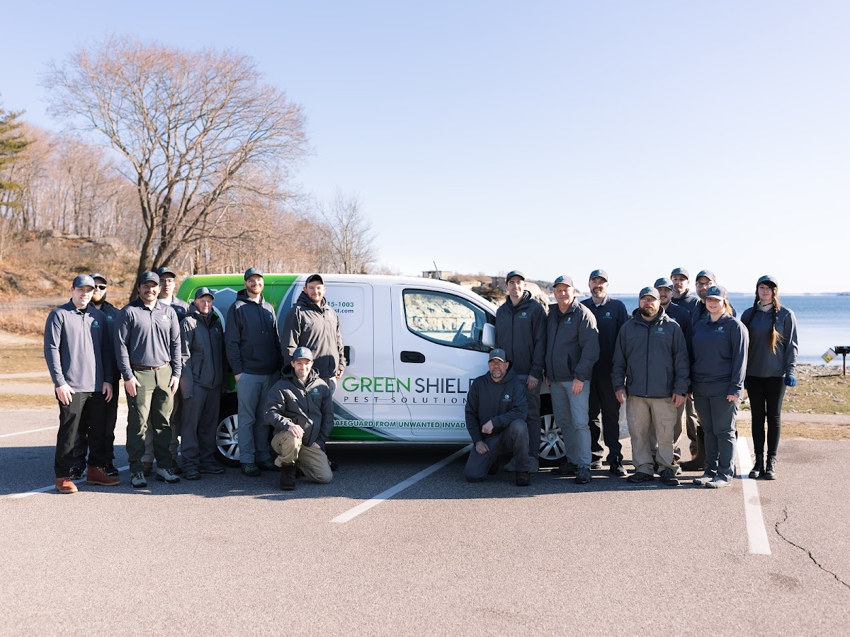 Green Shield Pest Solutions Pest Control Service photo