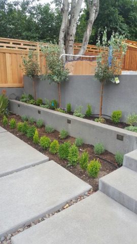 Natural Landscape and Irrigation Landscaper photo